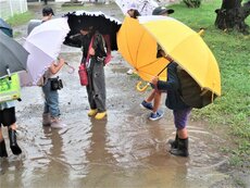 IMG_1020.jpg