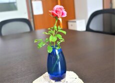 IMG_1196.jpg