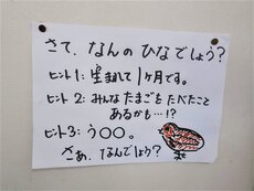 IMG_1224.jpg