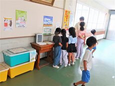 IMG_1228.jpg