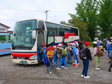 IMG_1336.jpg