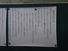 IMG_1345.jpg