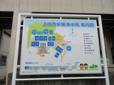 IMG_5504.jpg