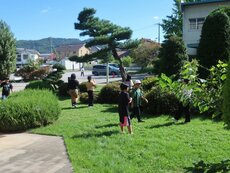 IMG_2507.jpg