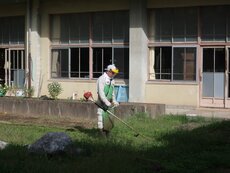 IMG_2145.jpg