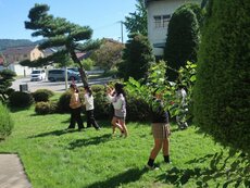 IMG_2506.jpg