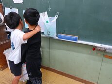 IMG_2315.jpg