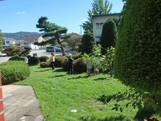 IMG_2502.jpg