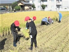 IMG_1999.jpg