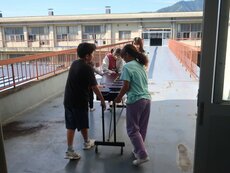 IMG_2115.jpg