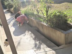 IMG_2177.jpg