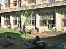 IMG_2179.jpg