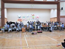 IMG_2223.jpg