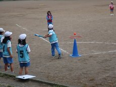 IMG_2249.jpg
