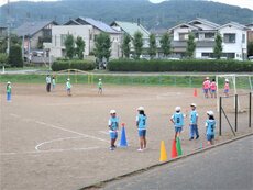 IMG_2250.jpg