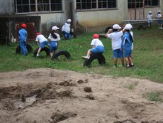 IMG_2279.jpg