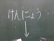 IMG_2316.jpg