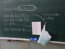 IMG_2324.jpg