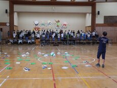 IMG_2343.jpg