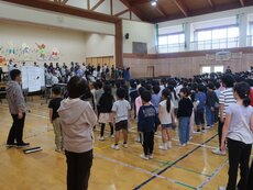 IMG_2389.jpg