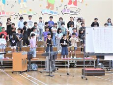 IMG_2409.jpg