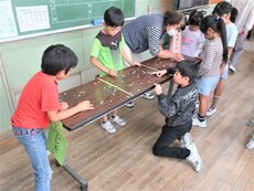 IMG_2463.jpg