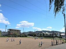 IMG_2484.jpg