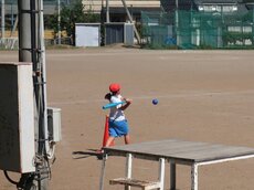 IMG_2489.jpg