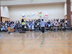 IMG_2571.jpg