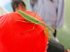 IMG_2604.jpg