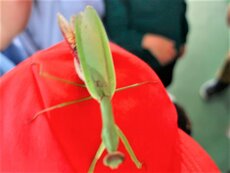 IMG_2605.jpg