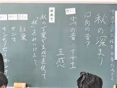 IMG_2633.jpg
