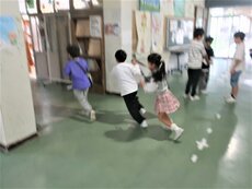 IMG_2681.jpg