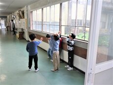 IMG_2687.jpg