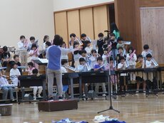 IMG_2817.jpg