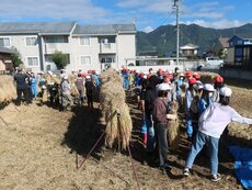 IMG_2902.jpg
