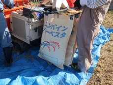 IMG_2915.jpg