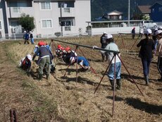 IMG_2950.jpg