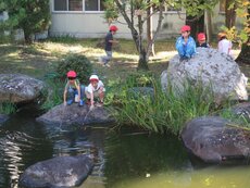 IMG_3066.jpg