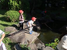 IMG_3067.jpg