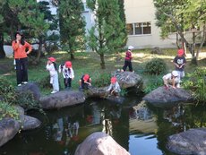IMG_3082.jpg