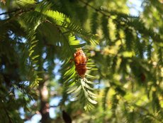 IMG_3098.jpg
