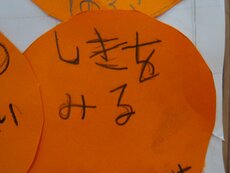 IMG_3119.jpg