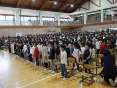 IMG_3177.jpg