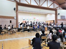 IMG_3228.jpg
