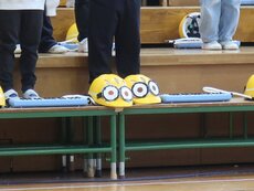 IMG_3229.jpg
