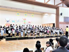 IMG_3253.jpg