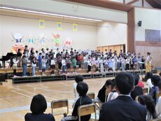 IMG_3416.jpg