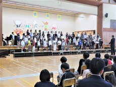 IMG_3433.jpg