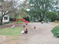 IMG_3483.jpg
